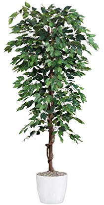 kunstpflanzen-discount.com Kunstbaum Ficus Benjamini grün 840 Blätter, Höhe 150cm - Künstliche Birkenfeige Benjamina mit Naturstämme