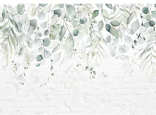 Runa Art Fototapete Grüne Blätter Steinwand 352 x 250 cm Vlies Tapeten XXL Moderne Wandtapete Wohnzimmer Schlafzimmer Weiss 9555011a