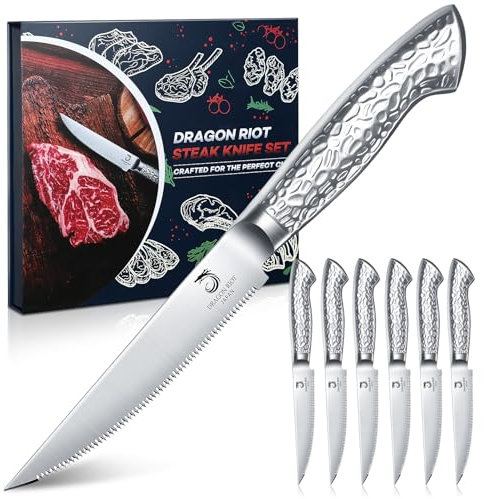 DRAGON RIOT Steakmesser Set 6-teiliges Steakbesteck mit Sägezahnklingen aus japanischem Edelstahl, spülmaschinengeeignet inklusive Aufbewahrungsbox