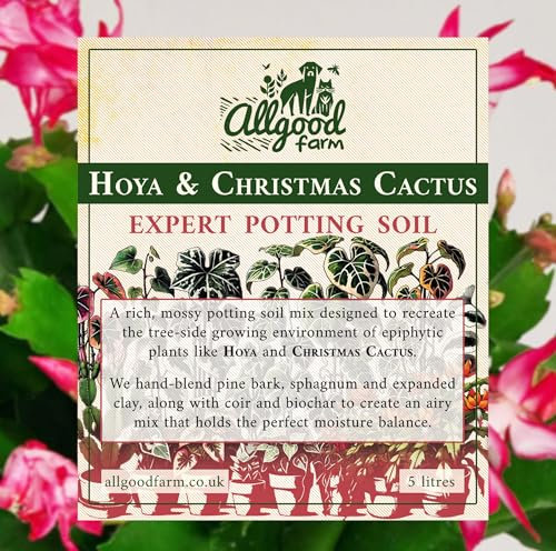 Allgood Farm Hoya & Christmas Cactus Soil - Expert Potting Soil Mix for Schlumbergera, Carnosa, Kerrii, Rhipsalis, Holiday Cacti (5 Litres)