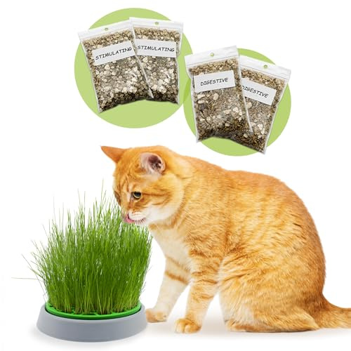 R&R SHOP - Kit de Hierba gatera Double Seeds - Maceta germinadora, 2 Tipos de Hierba gatera, Estimulante y digestiva, 4 bolsitas de Semillas y sustrato, Apto para Todos los Gatos