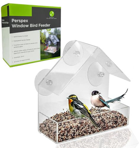 Perspex Window Bird Feeder with Strong Suction Cups | Transparent Hanging Feeder for Close-Up Birdwatching and Feeding Seeds, Mealwords, Nuts | Quick and Easy to Install (15 x 15 x 6 cm)
