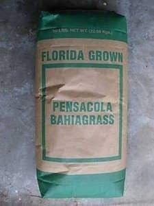SeedRanch Pensacola Bahia Grass Seed - 5 Lbs