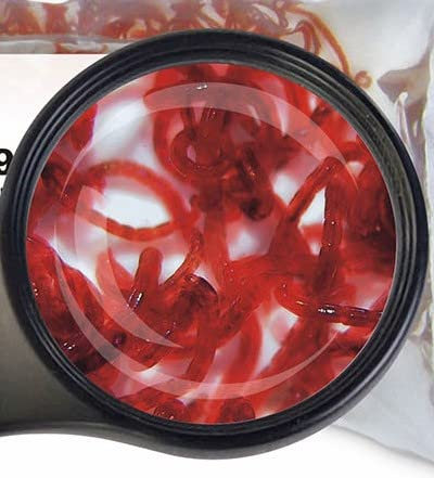 Lebendfutter Fische: 10 Beutel 45 ml =4X roteMückenlarve + 4X weiße Mückenlarven+2X Tubifex von Sahawa®, lebendes Fischfutter für Aquarienfische