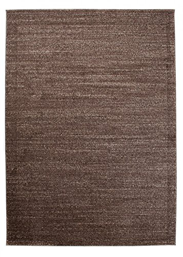 Carpeto Teppich Wohnzimmer 80x150cm Braun Einfarbig Weich Pflegeleicht | Teppich für Schlafzimmer Büro Esszimmer Eingangsbereich Fußbodenheizungsgeeignet Reinigungsmittelbeständig Minimalistisch