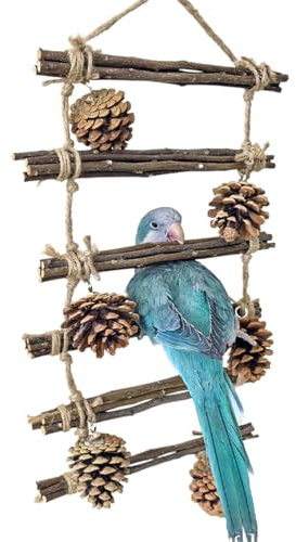 Hjatirace Vogelleiter Aus Naturholz | Sprossen mit natürlicher Oberfläche aus Holz - Kletter Sitzstange Spielzeug - Für Sittiche Unzertrennliche Aras Nymphensittiche Zuhause Innenbereich Außenbereich
