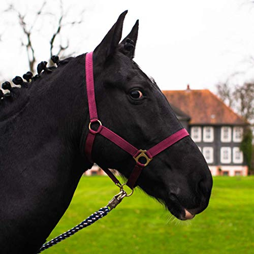 Horse Headcollar for Warm-Blood, Thoroughbred, Cold Blood - Stable Halter, Pasture Halter, 2 Adjustable Positions on Chin Strap and Headpiece, Safe & Tear-Resistant (Bordeaux, Shetland Pony (Shety)