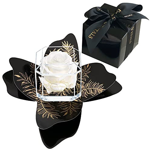 A 100% Real Rose That Lasts Years - Eternal Petals, Handmade in UK – Gold Solo + Gift Wrapping (White)