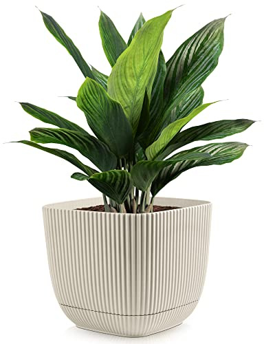 Konzept 11 - Blumentopf klein 1,8 l mit Unterzetzer, quadratischer Übertopf 15 x 15 cm, Pflanzentopf für Zimmerpflanzen aus Kunststoff, Beige