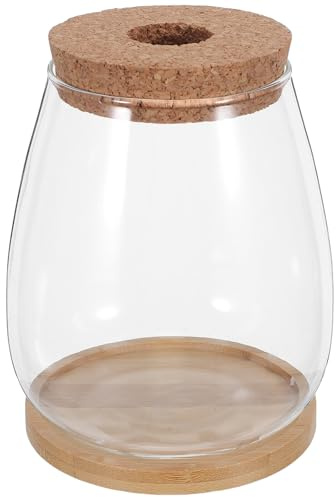 HIAKDOFT 2 Kits de Vases Hydroponiques en Verre pour Propagation de Plantes avec Bouchon en Liège Percé et Plateau en Bambou, Grosse Taille, pour Jardinage Intérieur, Bureau et Décoration