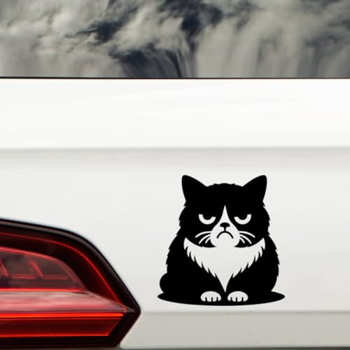 Cute Grumpy Pet Cat Waterproof Vinyl Sticker - Wall Decal, Laptops, Car, Water Bottles, Motorbikes, Vans, Gifts for Cat Lovers (1, 19cm x 19cm (7.5 x 7.5))