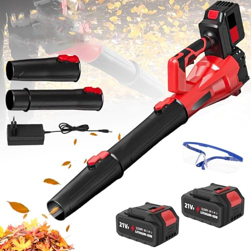 Souffleur de Feuilles sans Fil avec 2 Batteries 3000mAh,6 Vitesses,avec Lunettes,30000RPM,Souffleur Puissant à Batterie,Souffleur Jardin pour Souffler Les Feuilles,Neige et Poussièr (2 Batteries)