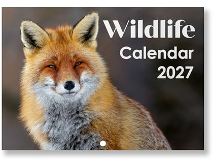 2027 Wildlife Wall Calendar - Nature Photography - Foxes Deer Owls - Month to View Planner - A3 When Open - Premium 170gsm Silk Paper