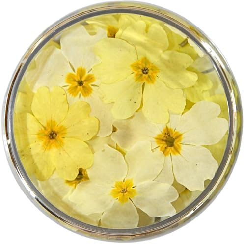 ROSIE ROSE - Essbare Blüten Primeln (15 Stk.) - Wie frisch gepflückt & 3 Jahre haltbar - Getrocknete Blumen Essbar für Tortendeko & Kuchendeko - Premium Edible Flowers Dried & Blütenmix