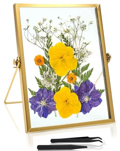 Gold Glass Picture Frame 15x20 – Elegant Floating Glass Photo Frame with Metal Stand – Double Glass Frame for Photos, Pressed Flowers, Certificates, Wedding & Home Décor – Includes 2 Tweezers