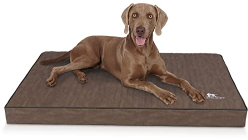 Knuffelwuff orthopädische Hundematte Palomino aus Laser-gestepptem Kunstleder L 80 x 60cm Braun - rutschfeste Unterboden - leicht zu reinigen - für große, mittelgroße und kleine Hunde