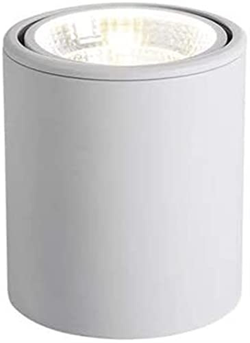 XCC Downlight Restaurant LED Surface Mounted Spotlight Restaurant Circular Ceiling White Corridor Shopping Mall Exhibition Hall Light (Color : White Light, Size : 12w)