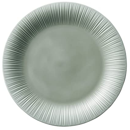 Noritake 1724L/90016 Conifer Ash Plate, 9.4 inches (24 cm), Microwave Safe, Dishwasher Safe, 1 Piece, Gray, Fine Porcelain (White)