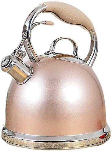 Hervidor Hervidor Hervidor de gas de acero inoxidable 304 Agua hirviendo Cocina de inducción de gas Silbato Hervidor pequeño Tetera de acero inoxidable pesa rusa DF