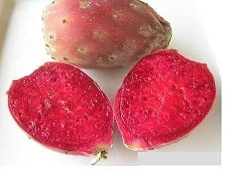20 Red Fico d'india Semi Opuntia Ficus Indica indiano Fig Sabras frutta