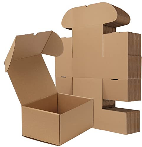 RLAVBL Boite Carton Expédition 20.3x15.3x10.2 cm, Lot de 25 Boites Carton en Marron