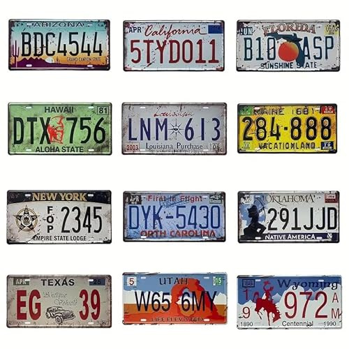 USA Kennzeichen Set 12 Stück – US Nummernschilder Replika aus Metall | Auto Deko Schilder – Vintage Blechschilder im amerikanischen Design – Wanddeko für Garage, Werkstatt, Bar, Wohnzimmer