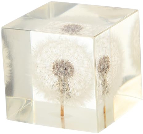 Cabilock Decorazione Da Tavolo Con Sfera Di Dente Di Leone in Cristallo Trasparente Per Casa e Ufficio Ornamento Creativo Raffinato Regalo Elegante Per Feste e Occasioni Speciali