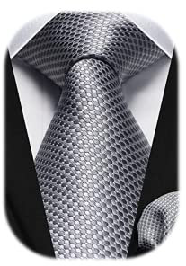 HISDERN Herren Krawatte Grau Silber Formelle Taschentuch Klassische Elegant Gepunktete Krawatten & Einstecktuch Set Hochzeit Datierung