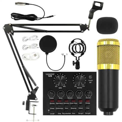 Ensemble de microphone d'enregistrement, équipement professionnel de diffusion en direct, kit de streaming en direct convivial, fournitures de studio d'enregistrement, ensemble de microphone d'ancres