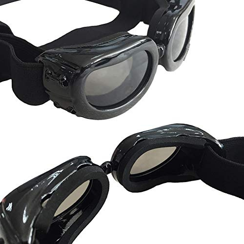 Hztyyier Hundebrille, Schutz, Kleine Hundesonnenbrille, Wasserdicht, Winddicht, Verstellbare Schutzbrille für Welpen und Kleine Haustiere (Black)