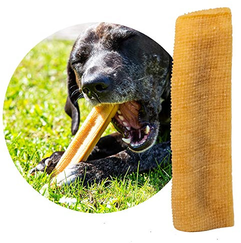 Petsoo® schmackhafter Käsekauknochen aus Hartkäse L für mittelgroße Hunde - Kauknochen im Churpi Style aus norddeutscher Kuhmilch Kaukäse Kaustab (5)