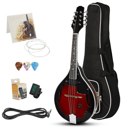 mandolin instrument Professional musical instrument eight string electric mandolin set