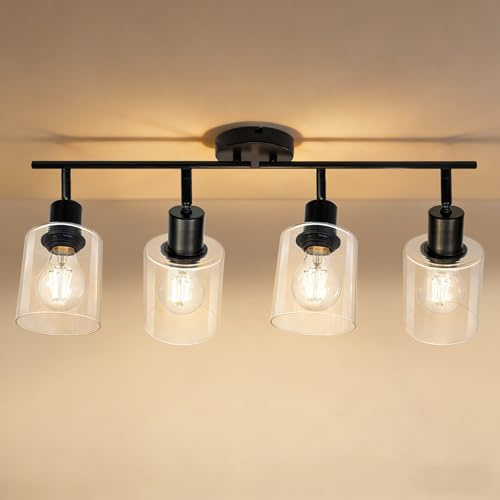 Wondlumi LED Deckenstrahler 4 Flammig E27 Schwarz Glas Metall Schwenkbar | Deckenleuchte Industriell Vintage Glas Schwenkbar 350° Deckenspots 230V Wohnzimmer Esszimmer Schlafzimmer ohne Leuchtmittel