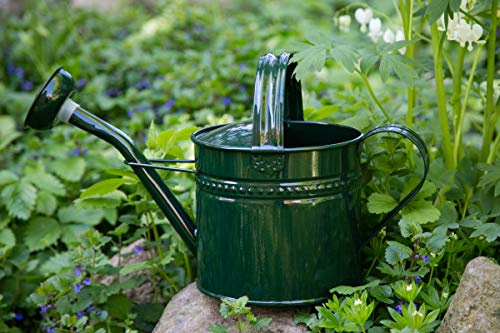 Gießkanne 6 Liter Grün Metall Zinkkanne Verzinkt Kanne 6009 Giesskanne