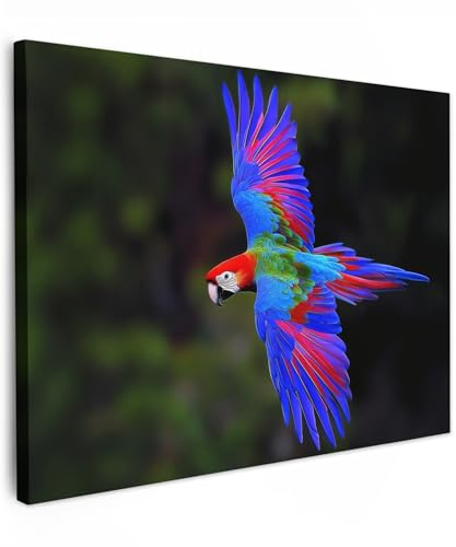MuchoWow© Cuadros Decoracion Salon Modernos Dormitorios Cuadro Decorativos | 80x60 cm - de Lienzos Decorativo Decoración Cabecero Cama Brillante - Guacamayo - Naturaleza - Vuelo