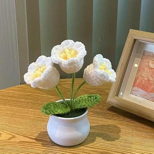 GVEKJ Mini Maceta Tejida a Mano para Bricolaje, Rosa, para Oficina, Escritorio, Plantas Ornamentales, Hilo de Lana, Producto Terminado, decoración del hogar