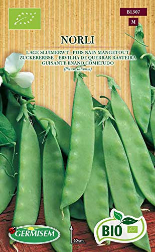 Germisem Biologico Norli Semi di Pisello Zucchero 80 g