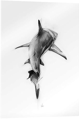 Posterlounge Shark II Acrylglasbild von Alexis Marcou 70 x 90 cm Schwarz-Weiß Wandbilder Wanddeko