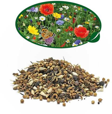 Pronto Seed Wildflower Seeds UK Mixed Variety Garden Pack - Seed Mix for Outdoor Blooms from May to October - Easy-Grow Native British Flowers for Beds, Borders & Containers (100g Bag)