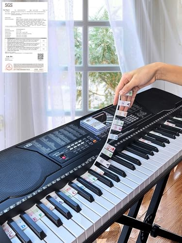 YPTSYSYS Piano Notes Guide for Beginner, Removable Piano Keyboard Note Labels for Learning, 61-Key Standard Full-Size, Made of Silicone Rubber, No Need Stickers, Reusable and Comes with Box(Colored)