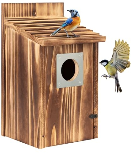 Nichoir à Oiseaux pour l'extérieur, nichoir en Bois, avec Protection Contre Les prédateurs, nichoir pour Observation des Oiseaux Sauvages, pinsons, carnassiers Bleus à Suspendre, nichoir à Oiseaux