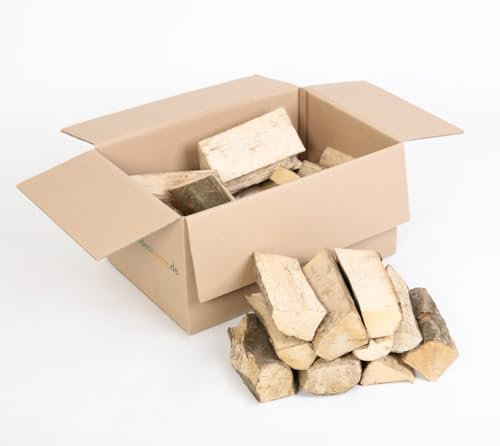 WESTMANN Carport Helsinki 15 m² | 503 x 305 x 232 cm Blanc | Toit plat en aluminium | Abri pour moto et voiture avec gouttière