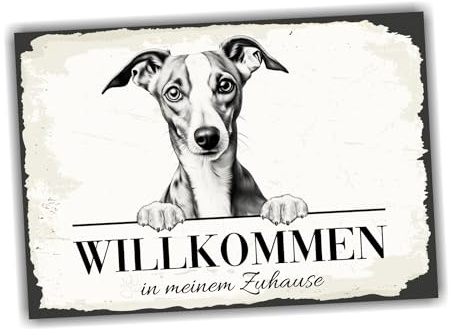 siviwonder Hundeschild Willkommen Zuhause Whippet Windhund No.1 Dog Schild Spruch Türschild Warnschild Geschenkidee schöner Spruch Hundemotiv Aluminium Wetterfestes Hundeschild
