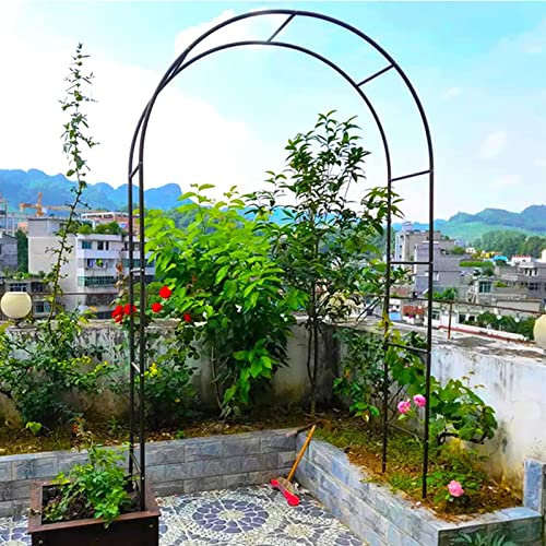 Arche Jardin Aluminium Largeur, Arche À Rosiers Métal, Filet À Plantes Grimpantes, Filet de Treillis, pour Récolte de Concombres, Légume, Vignes, Plantes Grimpantes,240x220x40CM