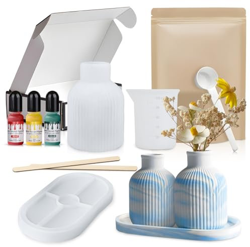 AllisWay Gesso in Polvere, Polvere di Ceramica, Polvere di Ceramica Bianca per Stampi, Gesso per Stampi, Contiene Uno Stampo in Silicone per Vasi e Vassoi, Adatto per Il Fai da Te, ECC, 500G