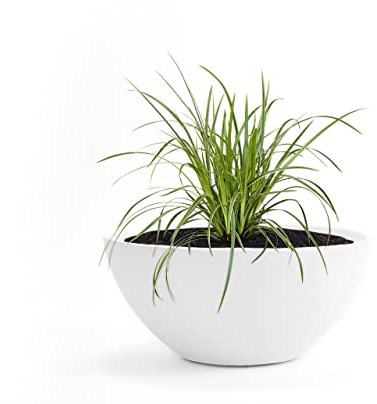 Pflanzwerk® Pflanzkübel Pflanzschale Bowl Ø 28cm Weiss *Frostbeständige Blumenschale* *Deutsche Premiumqualität* *Lotus-Effekt Imprägnierung*