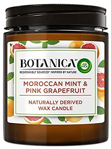 Botanica by AirWick Air Freshener Naturally Derived Wax Candle, MINT & PINK GRAPEFRUIT, Up to 40 Hours Burn Time