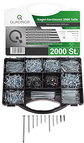 QUADRIOS GmbH Stahlnagel-Sortiment 2000 Teile verschiedene Nägel Teppichnägel Drahtnägel, Stiftnägel Leistenstifte aus Stahl sortiert im Koffer (Silber, Schwarz) - Heimwerken Handwerk oder Bau