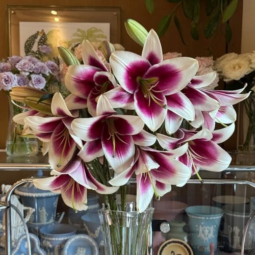 bulbos de lirios - balcón resistentes interior jardín 5pcs