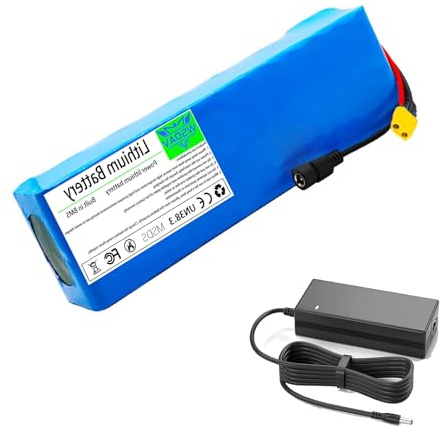 WSDAV Batería Recargable de Iones de Litio de 48 V y 10 Ah para ciclomotor eléctrico con Cargador. Fabricada en PVC Resistente al Agua, para Motores de Scooter de 0 a 500 W.